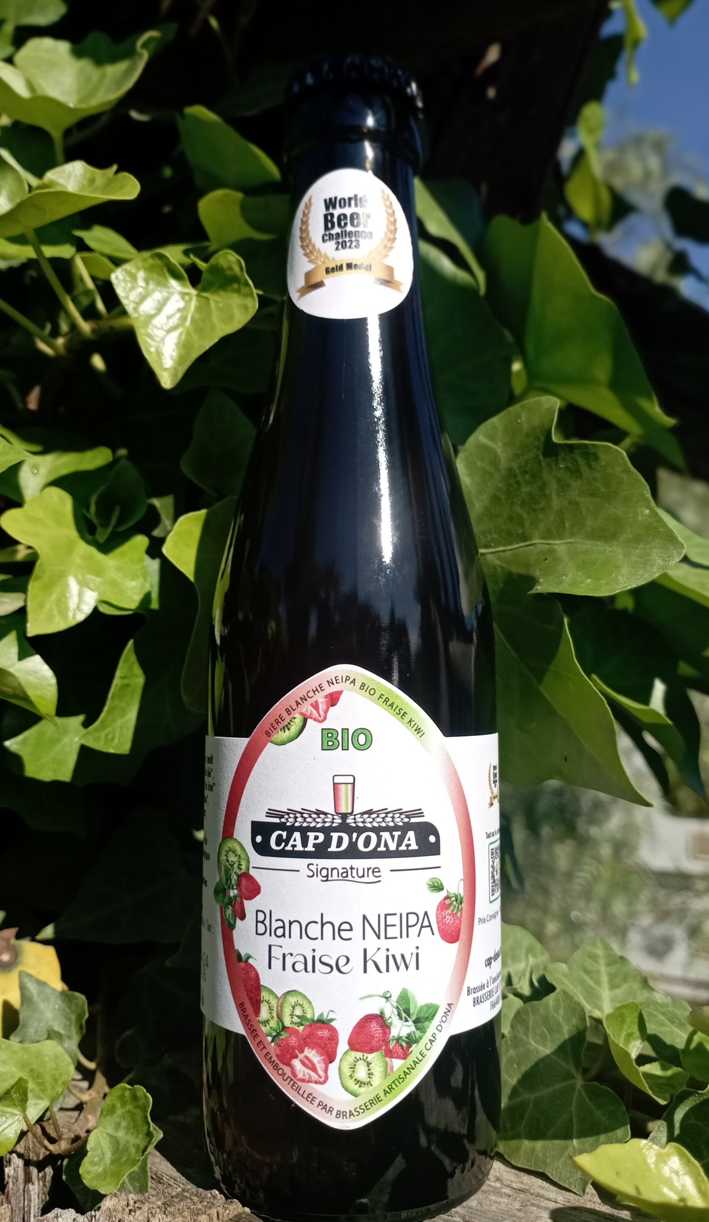 NEIPA Erdbeer-Kiwi-Weißbier