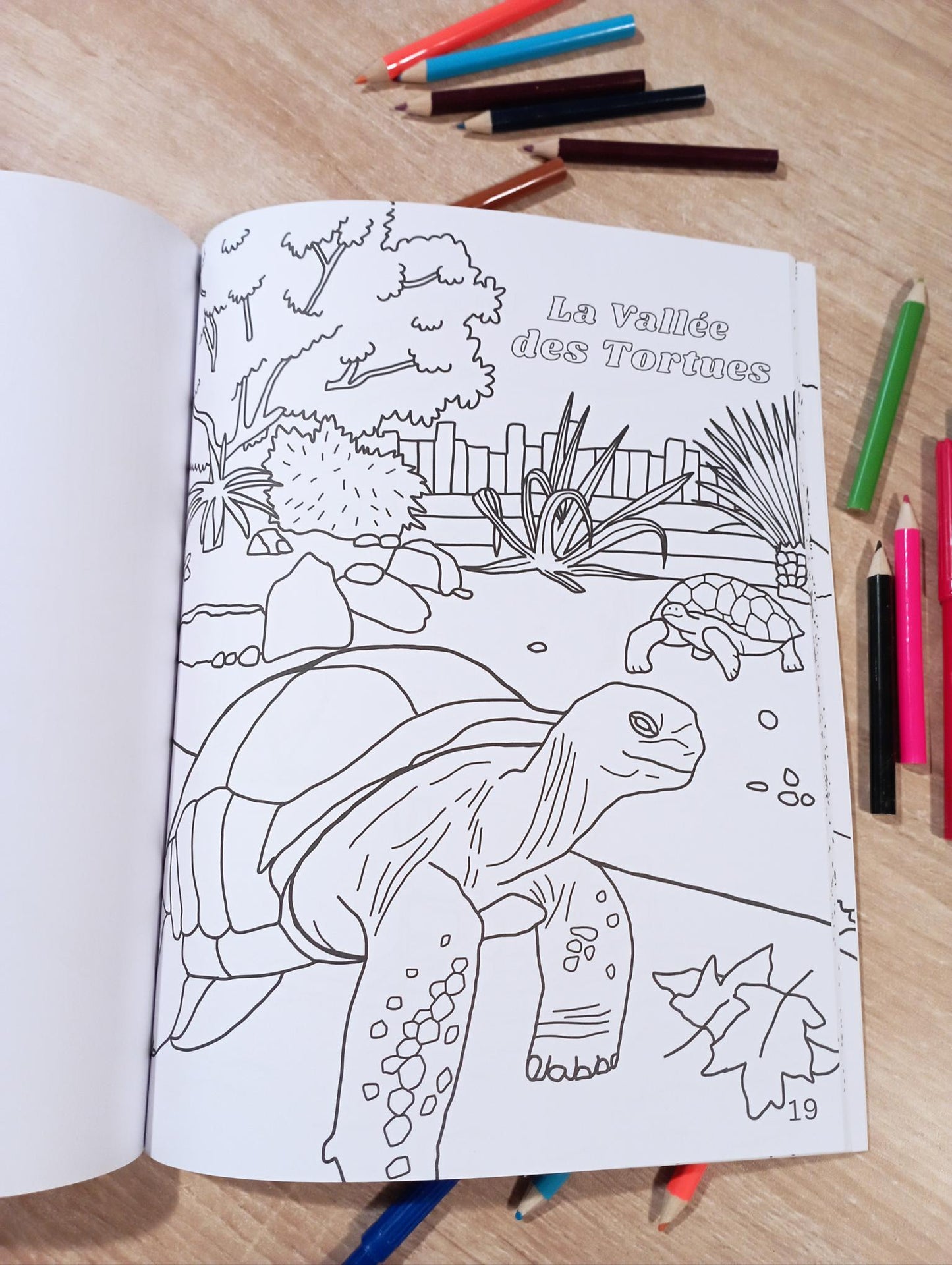 Livre de coloriage des Pyrénées-Orientales