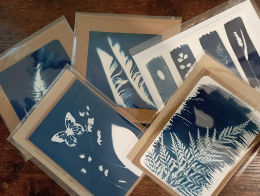 Carte + enveloppe