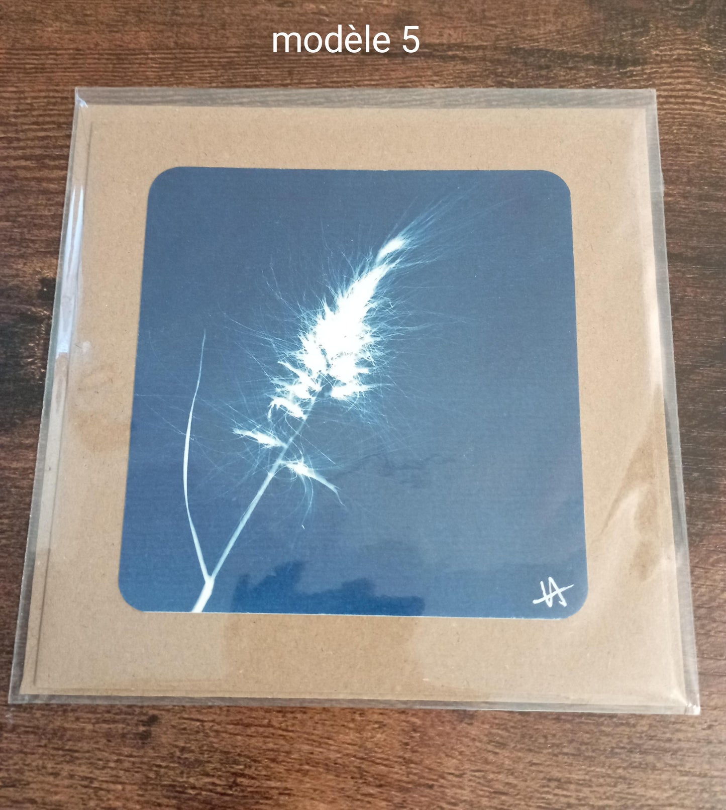 Card + envelope