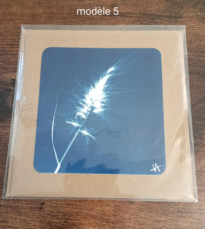 Card + envelope